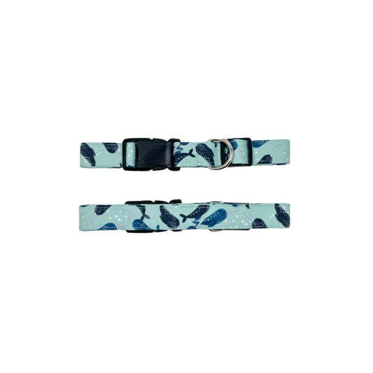 Pet Collar